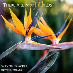 Molokai Lover (feat. Jeff Pevar)