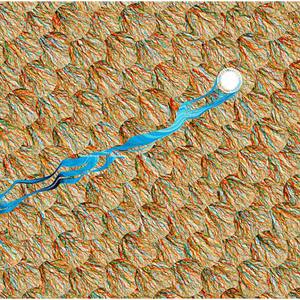 Not Sure I Understand