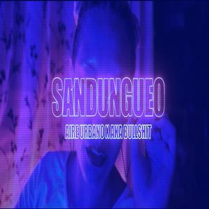 Sandungueo (feat. Camilo Bullshit) (Explicit)