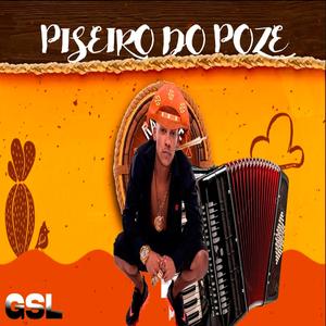 VIDA DOIDA - VIDA LOUCA VERSÃO PISEIRO