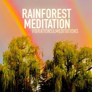Rainforest Meditation