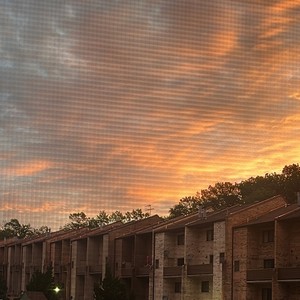 Last Night (Explicit)