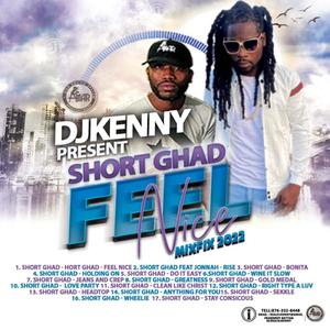 Feel Nice MixFix (Dj Kenny) [Explicit]