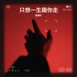 只想一生跟你走（但求你未淡忘往日旧情）