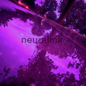 neuralink. (nvki)