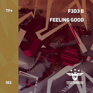 Feeling Good (Extended Mix)