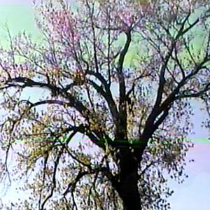 Kid Andre - NothingMajor (Explicit)