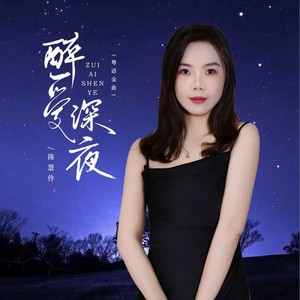 醉爱深夜 (伴奏)