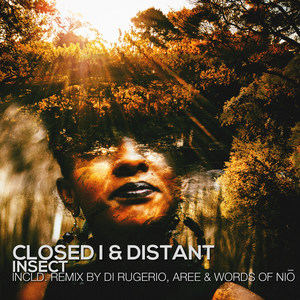 Aedes (Words of Niō Remix)
