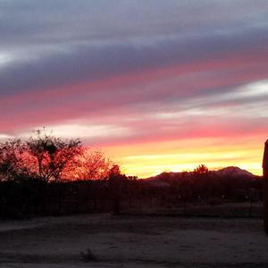 Cello Theme on Sonata 151