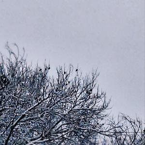 Dew Drops (Explicit)