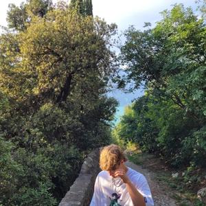 Dachfenster (Explicit)