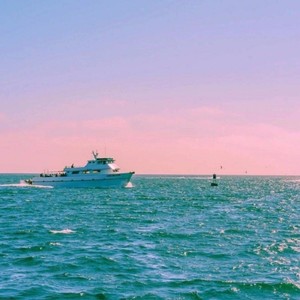 永不失联的爱 (Live)