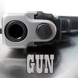 Gun