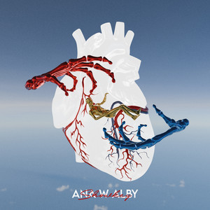 Showkey - Ana W Alby