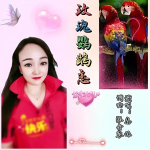 玫瑰鹦鹉恋