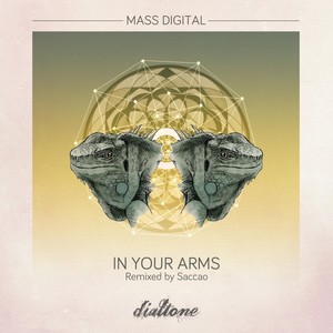 In Your Arms (Saccao Remix)