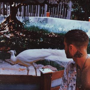 Melt Away (Explicit)