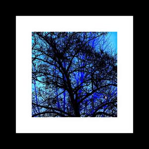 NOVAFLED - CONCUSSION (feat. MONiiKA BUU) (Explicit)