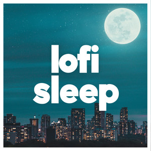 Lofi Sleep