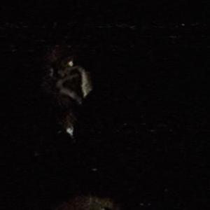 hell nahh (Explicit)