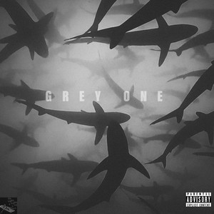 GREY ONE (Explicit)