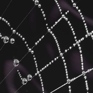 Seda (feat. Spicy D & Drena G) (Explicit)