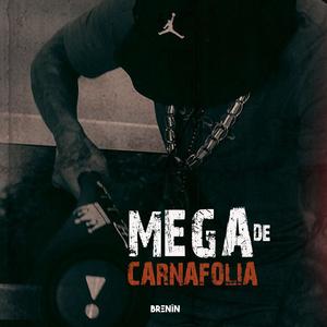MEGA DE CARNAFOLIA (Explicit)