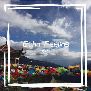 Echo Feeling