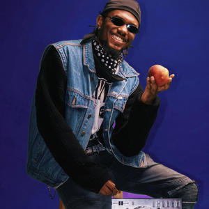 Style Stealer (Explicit)