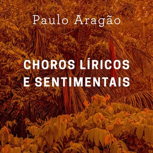 Paulo Aragão - Tarde em Paquetá