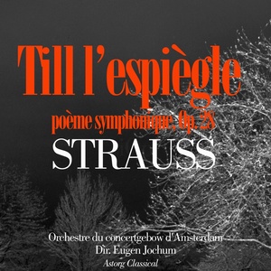 Till l'Espiègle, Poème symphonique, Op. 28