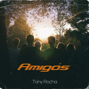 Amigos