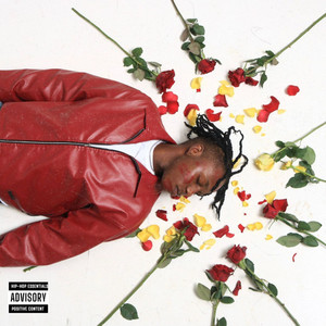 Waste Your Time (Explicit)