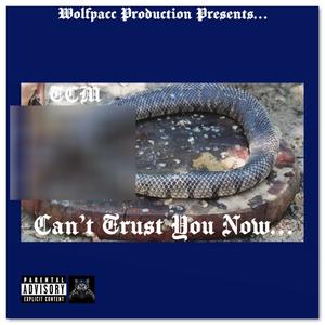 Can't Trust You Now (feat. Reoo & Benji City) (Explicit)