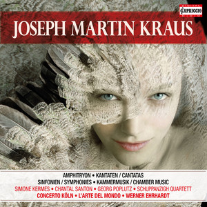 Flute Quintet in D Major, Op. 7, VB 188 - III. Finale con brio