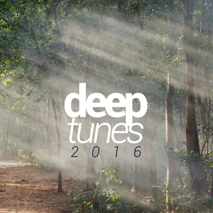 DEEP TUNES 2016