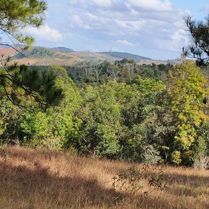 Hòa Bình Rừng Xanh