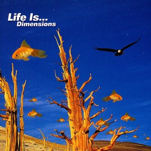 Life Is…Dimensions