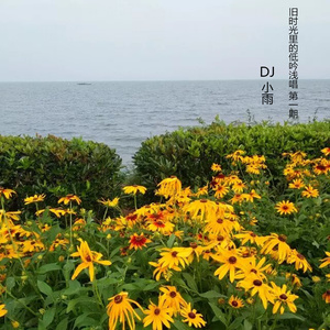 跳跳蛙 (美文版)封面