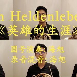 英雄的生涯：英雄的战场 Ein Heldenleben (Demo)