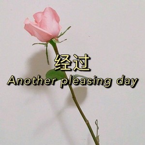 事非人愿 (DJ版)