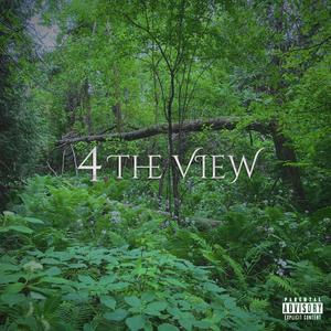 4 The View (Explicit)