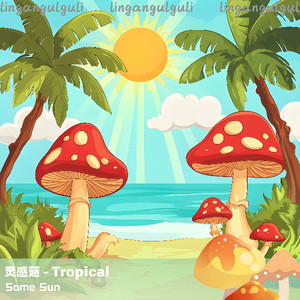 灵感菇Tropical