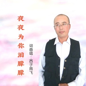 夜夜为你泪朦朦 (男版伴奏)