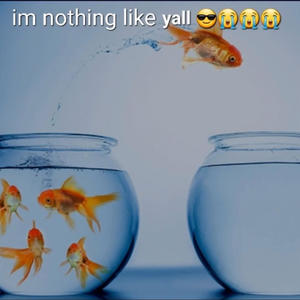 nothing like yall (Explicit)