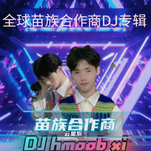 Lam koom lub npe tsis koom lub siab DJ版 (Remix)