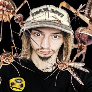 КОМАРИ (Explicit)