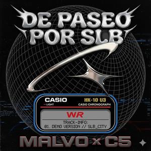 De paseo por SLB (feat. C5) (Explicit)