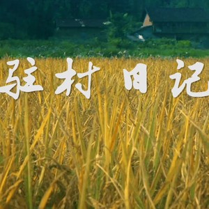 驻村日记